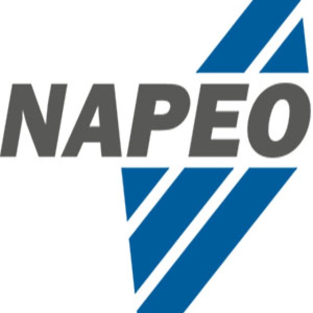 National Association of Professional Employer Organizations Logo picture sayes NAPEO with 3 blue lines behind it 